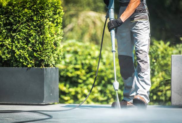 Best Rust Removal  in Dagsboro, DE